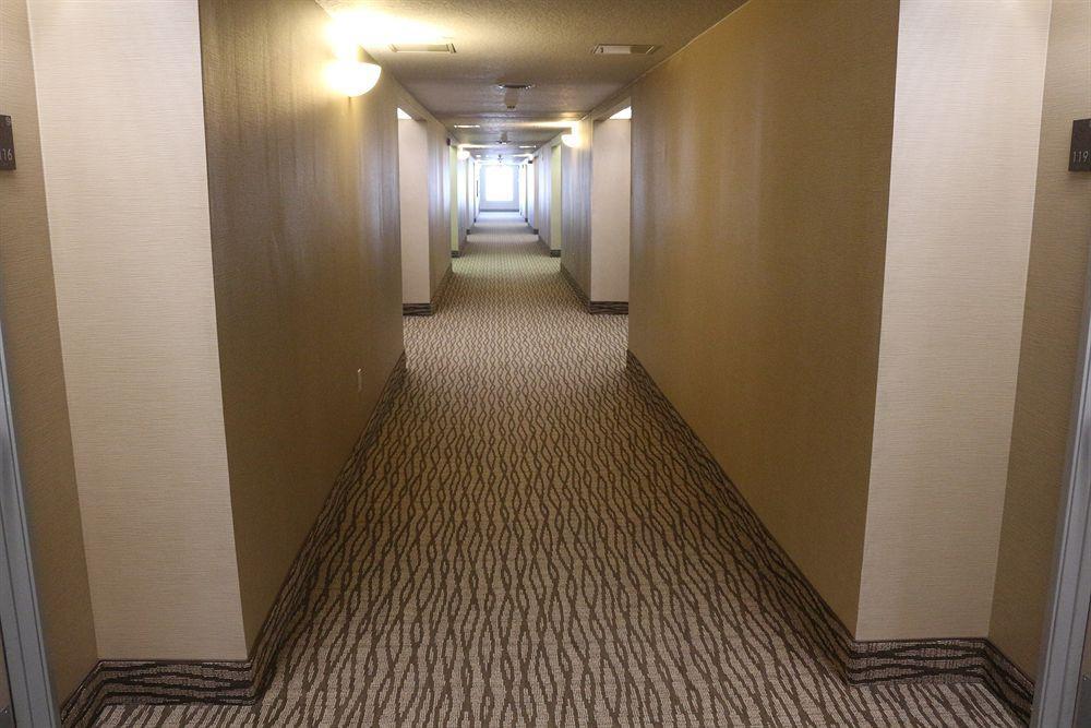 Comfort Suites New Braunfels Kültér fotó